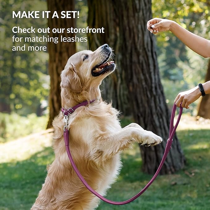 CollarDirect Rolled Leather Dog Collar, Soft Padded Round Puppy Collar, Handmade Genuine Leather Collar Dog Small Large Cat Collars 13 Colors (6 Inch, Pink Smooth)