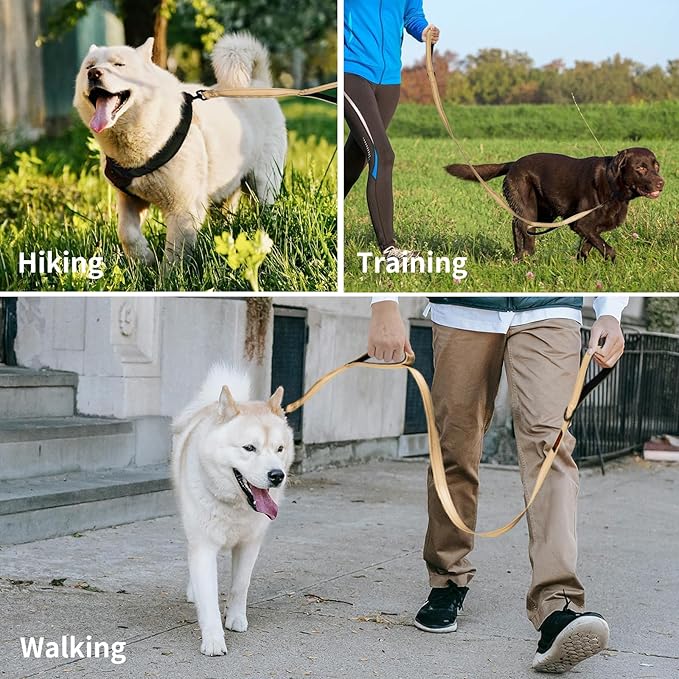 Heavy Duty Double Handle Leash - Reflective Training Lead for Large Breed Dogs (6FT Khaki)