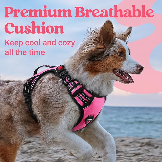 rabbitgoo Dog Harness for Large Dogs, No Pull Pet Harness with Soft Padded Handle, Adjustable Reflective Vest with 3 Buckles, Easy Walking Harness with 2 Leash Clips, Pink, XL