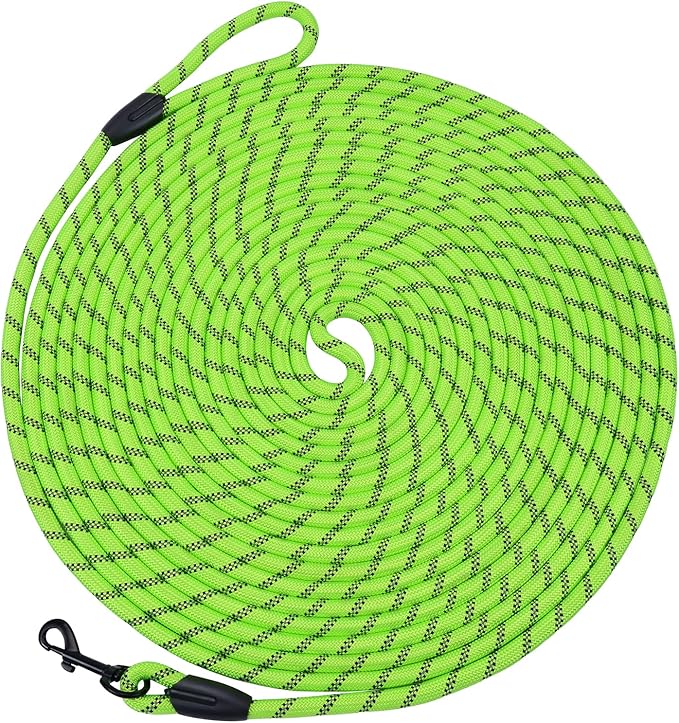 Long Dog Leash for Training 20Ft-Reflective Nylon Rope with Swivel Hook-Recall Agility Lead for Large Small Medium Dogs Outside Walking Hiking-Green