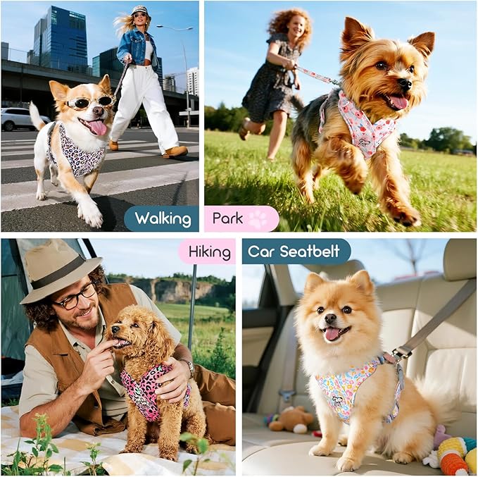 Pawaboo Small Dog Harness and Leash Set, Puppy Harness X-Frame No Pull No Choke, Dog Vest Harnesses Adjustable for Small Medium Sized Dogs,Soft Breathable Pet Harnesses, M, Magenta Leopard