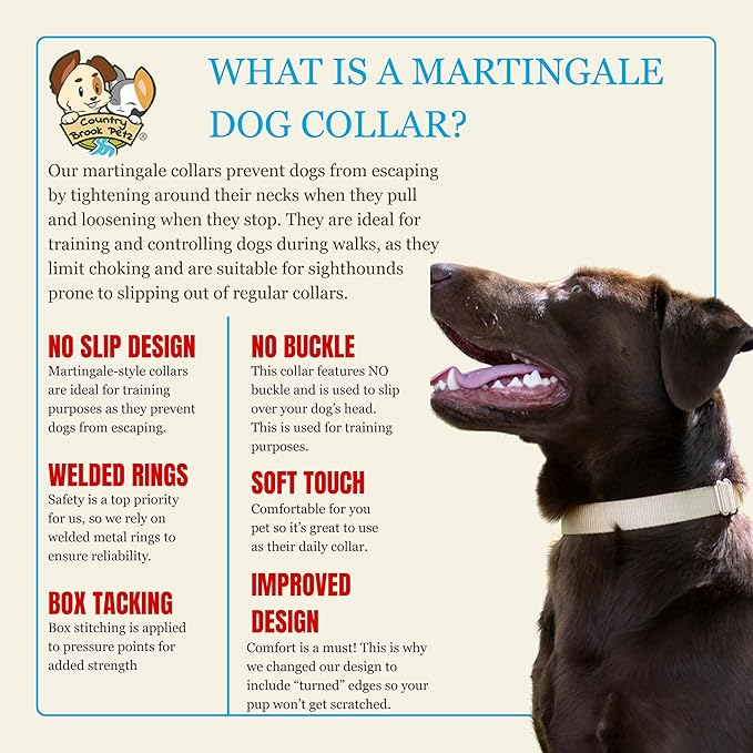 Country Brook Petz - Martingale Dog Collar - Heavy-Duty Training Collar with No Buckle - Service Dog Collar for All Pups - 10+ Warm Colors (Copper Gold, 3/8 Inch, 2XS)