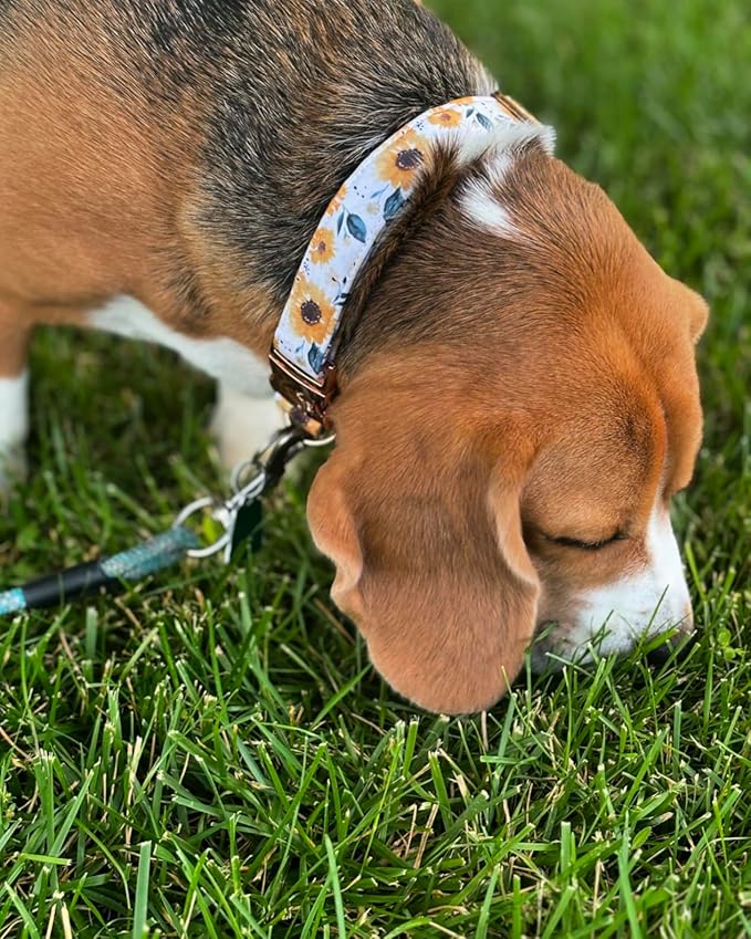 Elegant little tail Dog Collar, Sunflower Pattern Pet Collar Durable Cute Dog Collars Summer Fall Female Pet Gift Adjustable Dog Collar for Medium Dogs