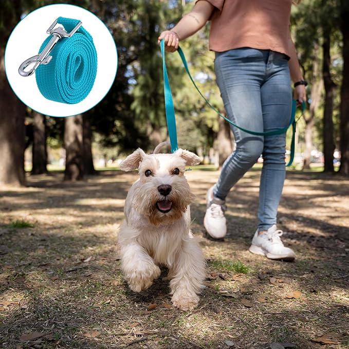 15 Pcs Nylon Dog Leashes Bulk, 5 FT Strong Dog Training Leash 15 Colors Pet Rope Leashes with Swivel Hook for Small Medium Puppy Play, Backyar, Training, Camping
