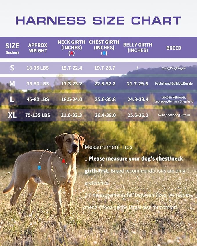 Small Dog Harness, Heavy Duty Tactical No Pull Dog Harness, No Choke, Easy On and Off Pet Vest with Molle System, Adjustable Reflective Dog Vest with Breathable Padded for Walking Hiking Training