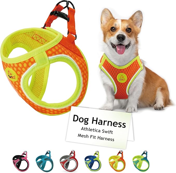 DOCO Dog Harness (Chest 14.5"-15.5", Weight 6–10 lbs) Athletica Adjustable Heavy Duty No Choke Puppy Vest for Small Dogs Lightweight Air Mesh, Reflective, Puppy Essentials – Orange, Small