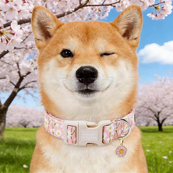 Elegant little tail Dog Collar, Pink Daisy Print Spring Soft Cotton Puppy Collars Adorable Female Pet Gift Lightweight Plastic Adjustable Dog Collar for Large Dogs