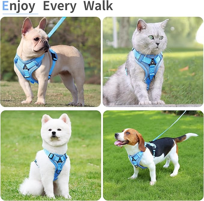 No Pull Dog Harness with Leash Set for Small Sized Dog, Reflective Adjustable No Choke Front Clip Cat Vest Harness with Breathable Mesh, Comfortable Soft Padded Pet Vest, Blue L