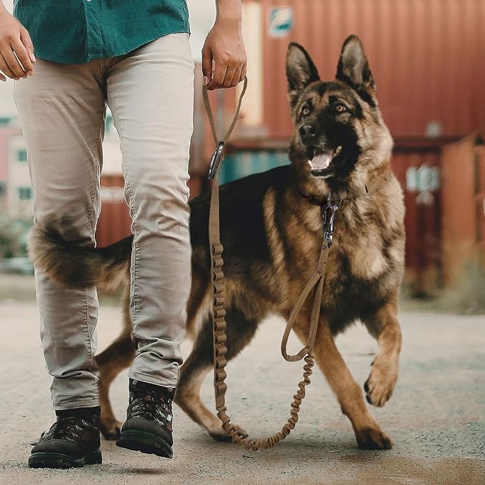 Excellent Elite Spanker Tactical Bungee Dog Leash Military Adjustable Dog Leash Quick Release Elastic Leads Rope with 2 Control Handle(Ranger Green)