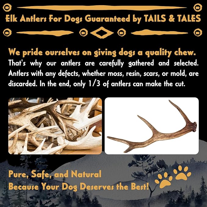 Tails & Tales Whole Elk Antler for Dogs Jumbo 9-11" Long-Lasting & Durable Dog Bones for Aggressive Chewers or Teething Puppies No Additives, Premium Grade A, Naturally Shed in USA