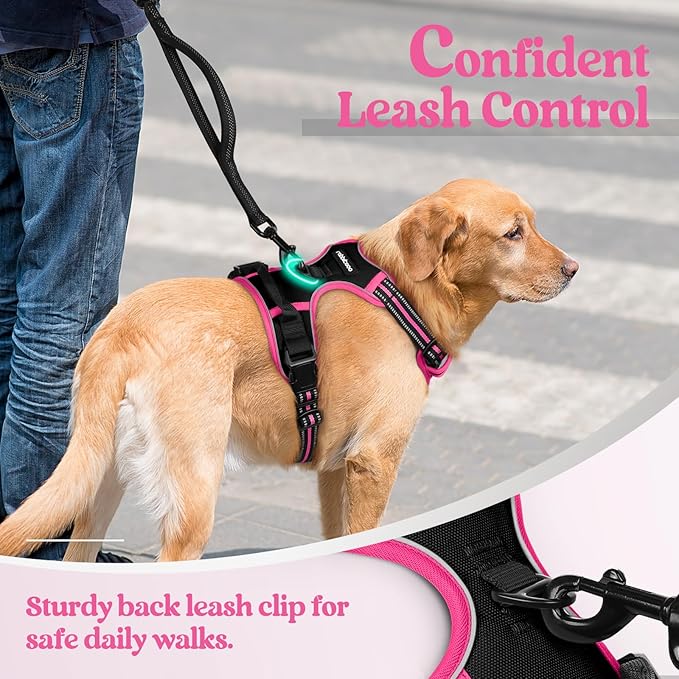 rabbitgoo Dog Harness No Pull with 2 Leash Clips, Adjustable Soft Padded, Reflective Oxford No Choke Pet Vest with Easy Control Handle for Large Dogs, Black & Hot Pink, M