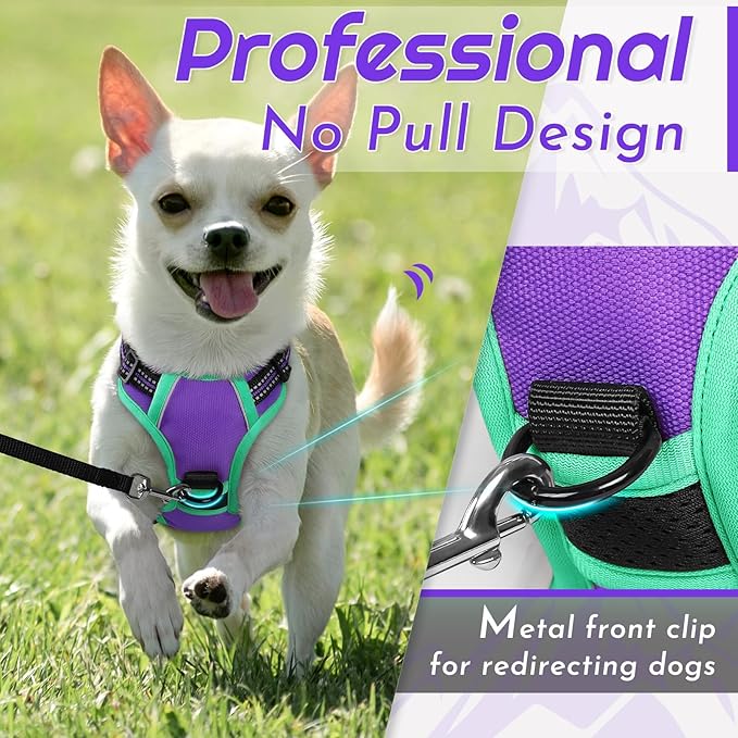 Eagloo Small Dog Harness No Pull, Service Vest with Reflective Strips and Control Handle, Adjustable and Comfortable for Walking, No Choke Pet Harness with 2 Metal Rings, Purple & Green, XS