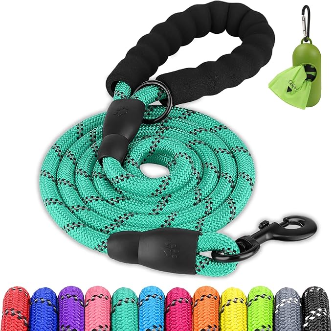 Joytale Dog Leash for Small Dogs, Heavy Duty Nylon Leashes with Comfortable Padded Handle and Highly Reflective Threads, Ideal for Walking and Training, Teal, 5'횞3/8''