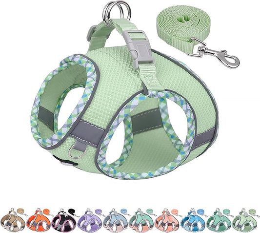AIITLE Teacup Puppy Harness with Leash - Adjustable Soft Vest with Magic Tape & Reflective Safety Strips, Easy-Put-On for Poodles, Pomeranians - Gym, Hiking, Travel (Sage, S)