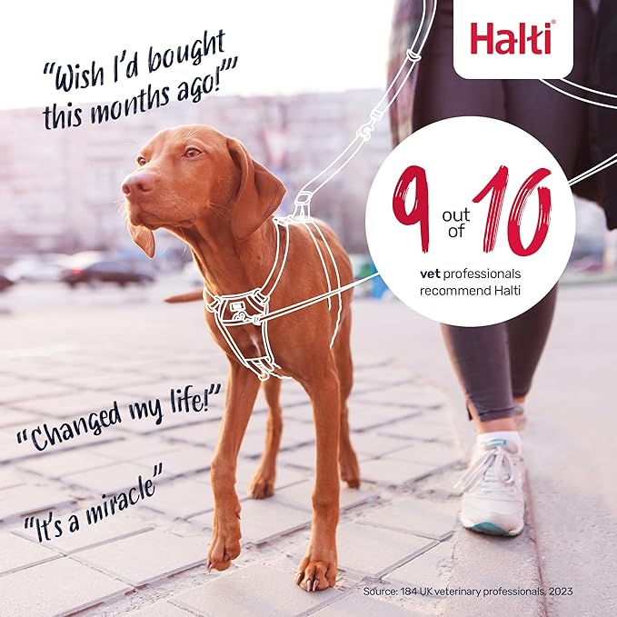 Halti No Pull Harness - Stop Your Dog Pulling on The Leash. Adjustable, Lightweight and Easy to Use. Reflective Dog Training Harness for Large Dogs (Size L, Deep Walnut)