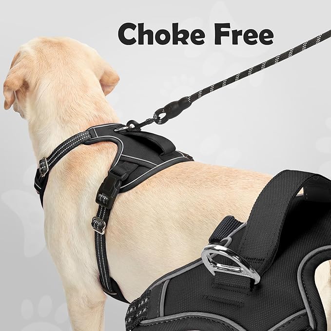 Funfox Dog Harness No Pull, Adjustable Pet Vest Harness, Super Soft Material with Vertical Handle Easy Control, Reflective Night Walking, 2 Leash Clips for Medium Sized Dogs, Black, M