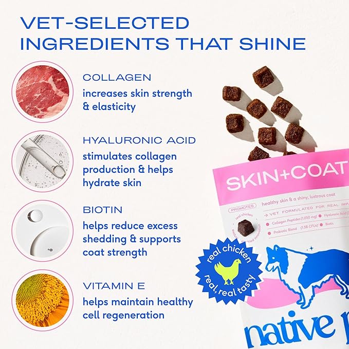 Native Pet Omega Skin and Coat Chews for Dogs - Dog Skin and Coat Supplement for Healthy, Shiny Fur, Reduce Shedding and Dry Spots - Made with Omega 3 Fish Oil and Wild-Caught Salmon Oil - 30 Chews