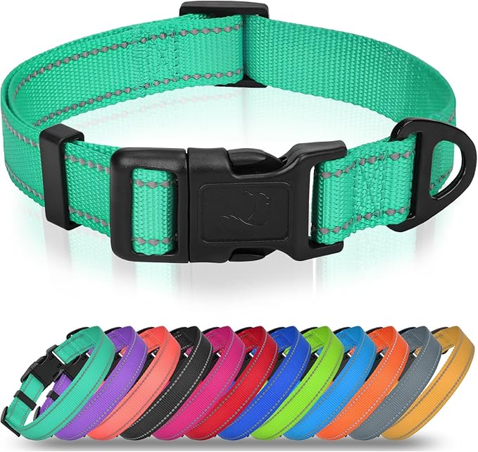 Joytale Small Dog Collar, Reflective and Adjustable Nylon Collar with Quick-Release Buckle, Lightweight No-Choke Design for Small Dogs, Teal, 5/8" Width