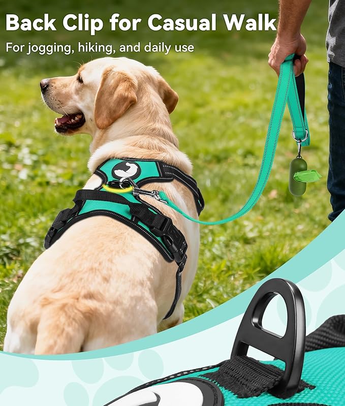Joytale No Pull Dog Harness Medium Sized Dog, Reflective Pet Vest with Front Clip, Adjustable Soft Padded Harnesses with Easy Control Handle for Training and Walking, Teal, M