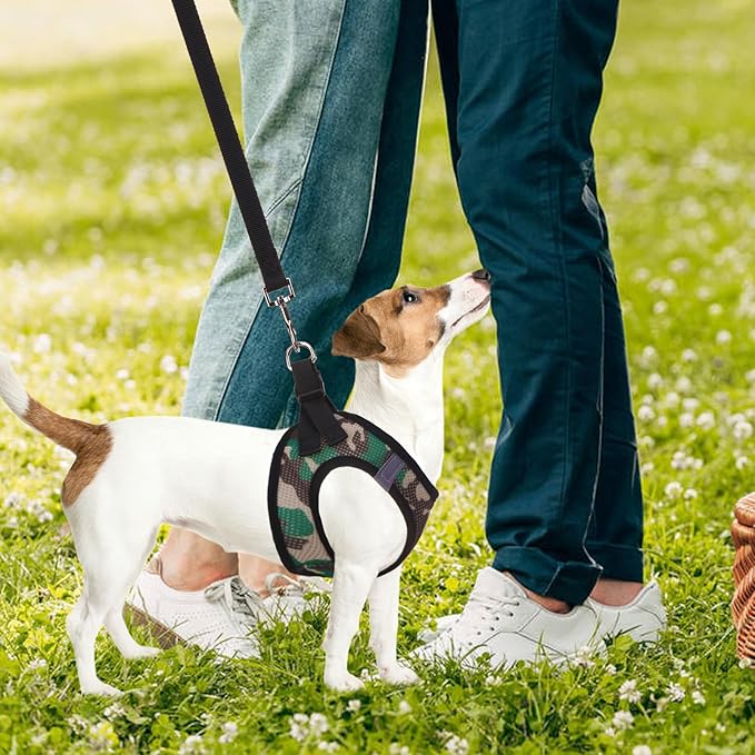 PUPTECK Adjustable Dog Harness Collar and Leash Set Step in No Pull Pet Harness for Small Medium Dogs Puppy and Cats Outdoor Walking Running, Soft Mesh Padded Reflective Vest Harnesses