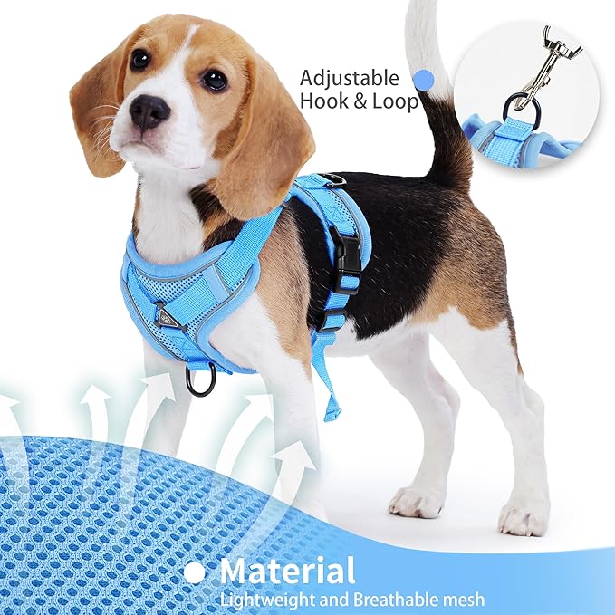 No Pull Dog Harness with Leash Set for Medium Sized Dog, Reflective Adjustable No Choke Front Clip Cat Vest Harness with Breathable Mesh, Comfortable Soft Padded Pet Vest, Blue XL