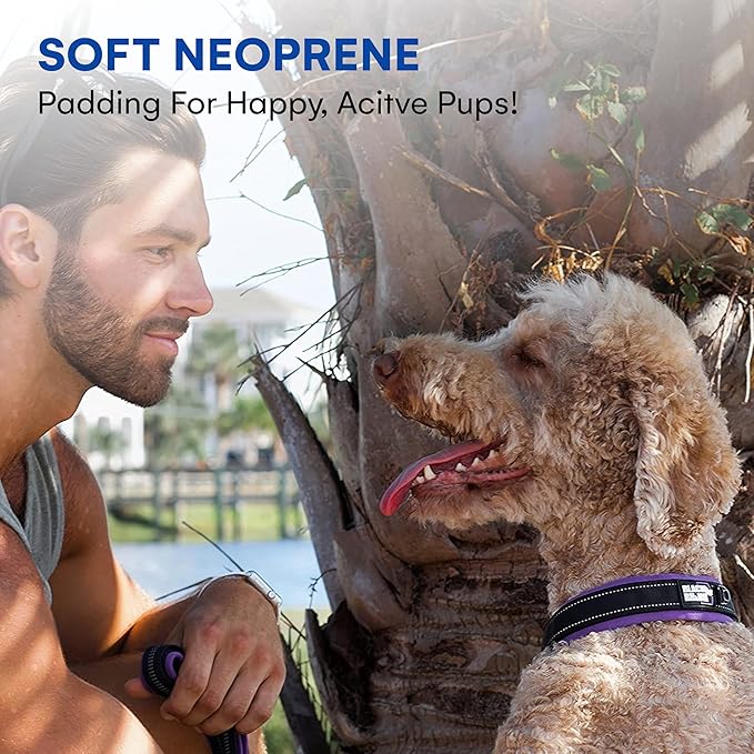Black Rhino - The Comfort Collar Ultra Soft Neoprene Padded Dog Collar for All Breeds, Dog Collars for Large Dogs - Heavy Duty Adjustable Reflective Weatherproof (Small, Purple/Bl)