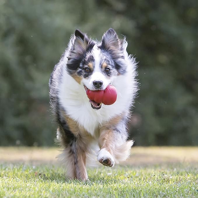 KONG Classic Stuffable Dog Toy - Fetch & Chew Toy for Dogs - Treat-Filling Capabilities & Erratic Bounce for Extended Play Time - Durable Natural Rubber Material - for Extra Large Dogs