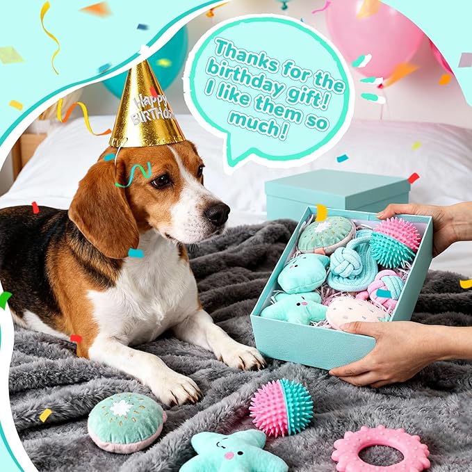 11 Pcs Dog Birthday Toy Gift for Dog Birthday Cake Puppy Girl Boy Squeak Toys Interactive Puppy Gift with Box for Small Medium Size(Stylish,Mixed Color)