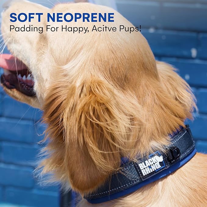 Black Rhino Dog Collars for Medium Dogs - Adjustable Reflective Heavy Duty Dog Collar with Ultra-Soft Neoprene Padding - Weatherproof, Durable, and Comfortable for Active Dogs - Sport Blue and Black