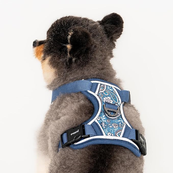 Puppia Cynthia Dog Harness H Sturdy Adjustable Neck and Chest Reflective Flower Pattern Front and Back D-Ring for Small and Medium Dogs, Blue, XX-Large