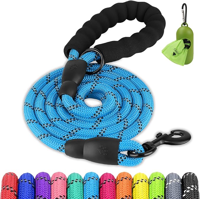Joytale Dog Leash for Large Dogs, Heavy Duty Nylon Leashes with Comfortable Padded Handle and Highly Reflective Threads, Ideal for Walking and Training, SkyBlue, 5'횞1/2''
