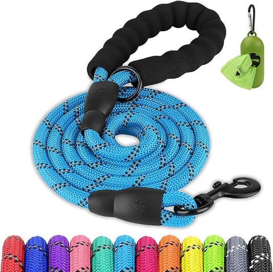 Joytale Dog Leash for Large Dogs, Heavy Duty Nylon Leashes with Comfortable Padded Handle and Highly Reflective Threads, Ideal for Walking and Training, SkyBlue, 5'횞1/2''