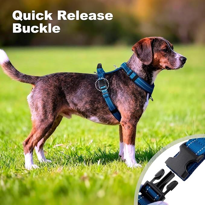 No Pull Dog Harness with Handle, Soft Mesh Padded Adjustable for Small Medium Large Dogs | Reflective Easy Walk Harness with Front Clip for Training, Running & Outdoor (Royal Blue, L)
