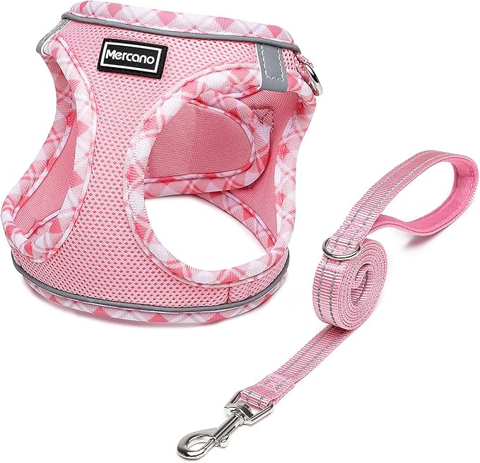 Mercano Soft Mesh Dog Harness and Leash Set, No-Chock Step-in Reflective Breathable Lightweight Easy Walk Vest Harnesses with Safety Buckle for Small Dogs, Cats (Pink, L)