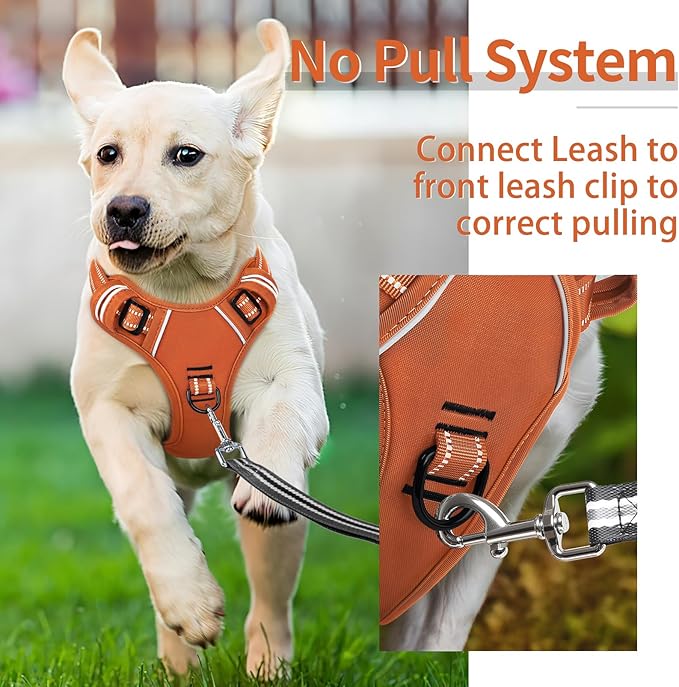 HEELE Dog Harness for Medium Dogs No Pull Dog Vest Harness with Soft Padded Handle Reflective for Outdoor Training, Pumpkin Orange, M