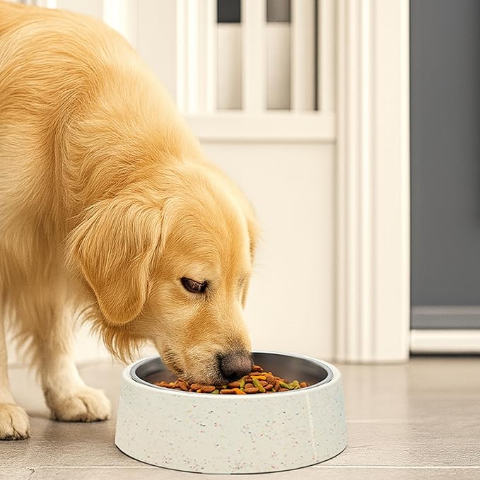 bzyoo 32oz 4CUP Elevated Dog & Cat Bowl, Sprinkle Design, Slanted Stainless Steel Pet Bowl with Removable Inner Bowl, Non-Slip Silicone Base, Dishwasher Safe, for Dry/Wet/Raw Food & Water White