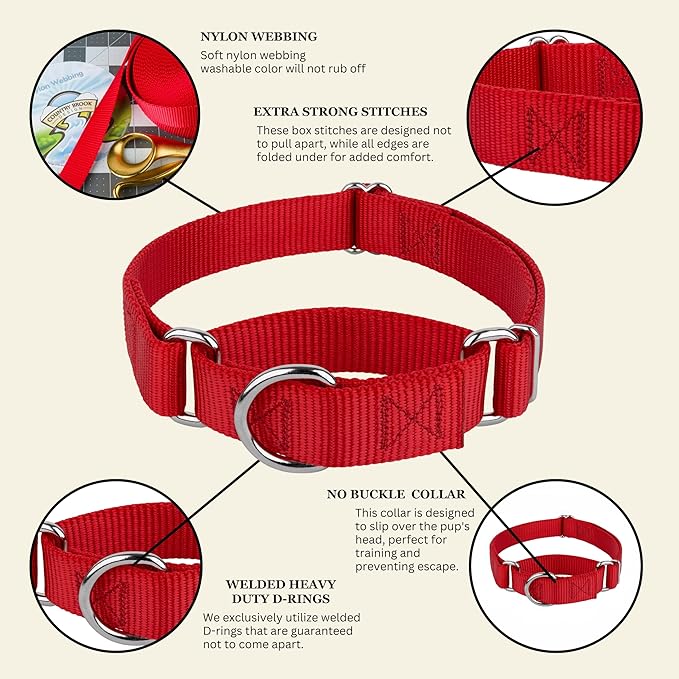 Country Brook Petz - Martingale Dog Collar - Heavy-Duty Training Collar with No Buckle - Service Dog Collar for All Pups - 10+ Warm Colors (Red, 1 Inch, Large)