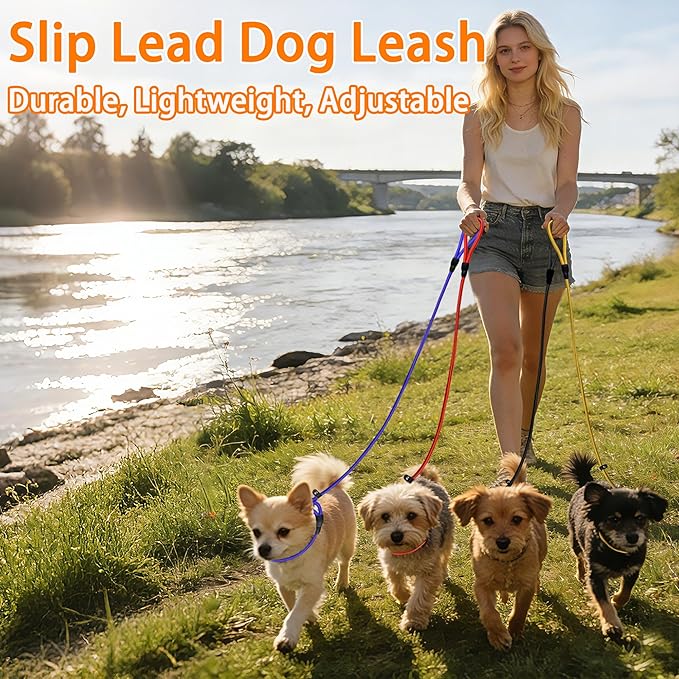 11-Piece Adjustable Dog Slip Leads 11 Colors, Adjustable - Easy On/Off, No Collar Needed, Standalone Use. Matches Outfits/Themes/Weather, High Value for Walking/Training