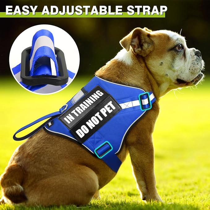 WINSEE Dog Harness & Leash Set, Small Blue, Emotional Support Therapy Vest with 10 Patches, Reflective, Adjustable, for Medium & Large Dogs