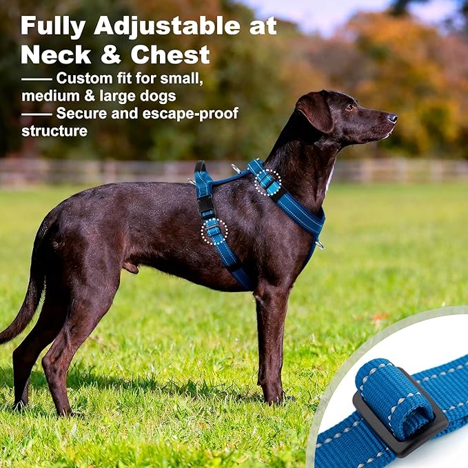 No Pull Dog Harness with Handle, Soft Mesh Padded Adjustable for Small Medium Large Dogs | Reflective Easy Walk Harness with Front Clip for Training, Running & Outdoor (Royal Blue, L)