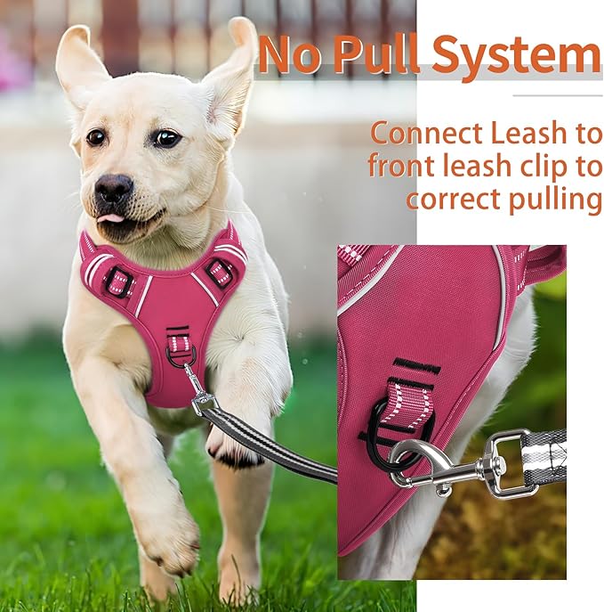 HEELE Dog Harness for Small Dogs No Pull Dog Vest Harness for Small Dog with Soft Padded Handle Reflective for Outdoor Training, Rose(Matching Trim), S