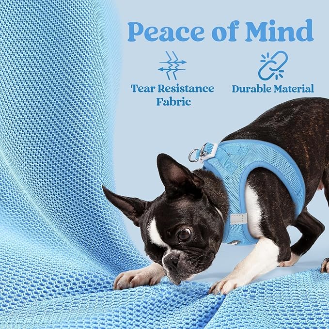rabbitgoo Small Dog Harness, Step-in Soft Mesh Puppy Vest with Safety Buckle, Breathable Reflective Pet Harness for Small Sized Dogs, Blue S