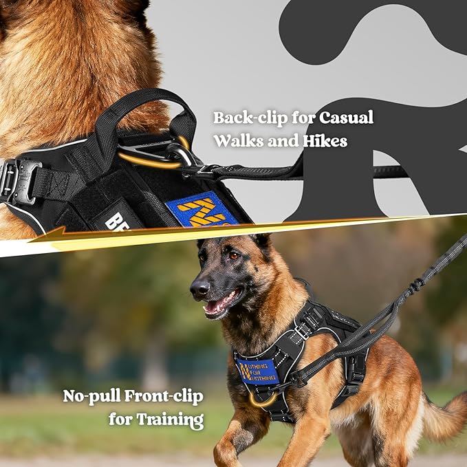 rabbitgoo Tactical Dog Harness Medium Large Sized, No Pull Upgraded Reflective Heavy Duty Molle Vest with Handle, Adjustable Military Service Dog Vest for Walking Hiking Training, Black, M