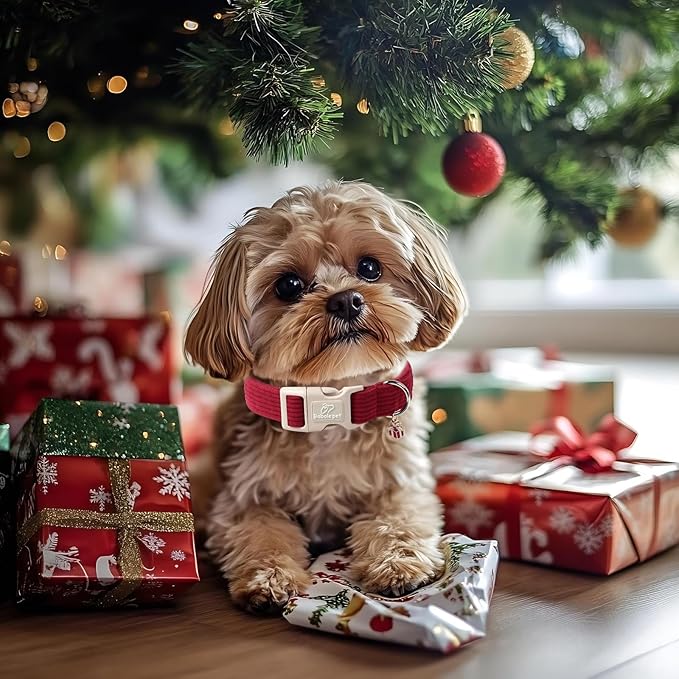 Cute Corduroy Dog Collar - Burgundy Adjustable Dog Collars for Large Dogs 50-80lbs, Fade-Proof with Secure Snap & Little Charm, Christmas Birthday Gift, L