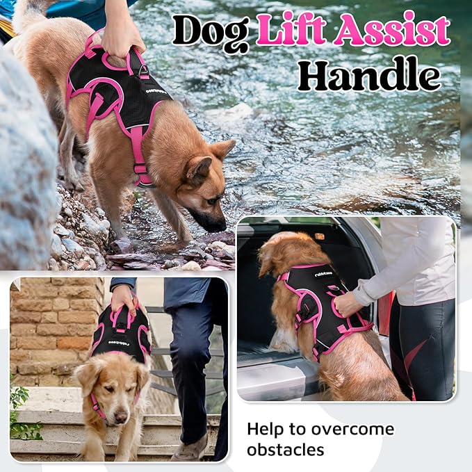 rabbitgoo Escape Proof Dog Harness Large Dogs, Soft Padded Full Body Pet Harness, Reflective Adjustable No Pull Vest with Lift Handle and Leash Clip for Walking Hiking Training, Pink & Black, L