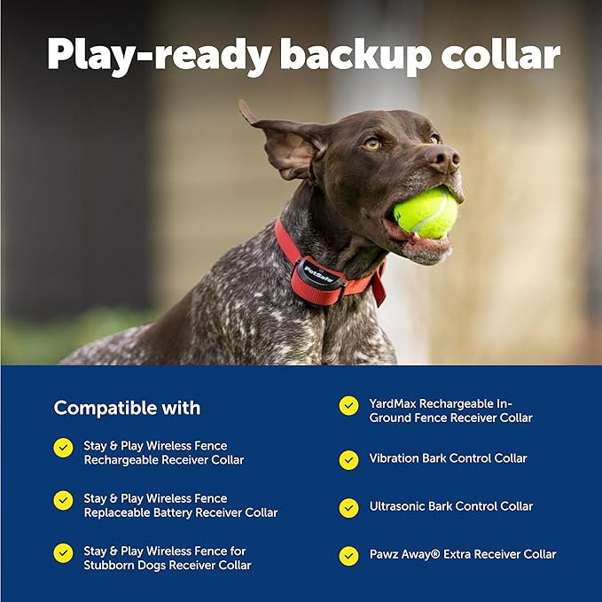 PetSafe 3/4" Rust Replacement Collar Strap with No Holes - Adjustable Strap - Durable Nylon Design - Quick-Snap Buckle - Compatible with Wireless Fence & Bark Collars - 30" - Grey