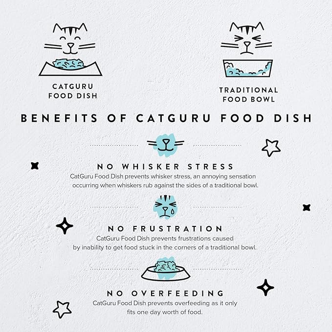 CatGuru Cat Bowls, Whisker Friendly Food Bowl for Indoor Cats, Reliefs Whisker Fatigue, Wide Kitten Dish, Non Slip Pet Dishes, Shallow Pet Plates (Ceramic, White, (Pack of 1))