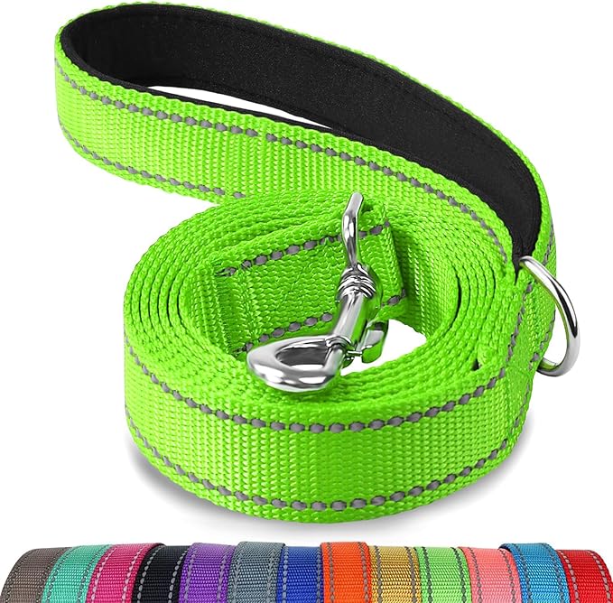 Joytale Dog Leash Heavy Duty for Large Medium Dogs, 4 FT Reflective Nylon Pet Walking Lead with Soft Padded Handle, Durable & Tangle Free for Training, Running & Safety Control, Green