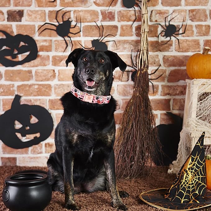 Elegant little tail Halloween Dog Collar, Autumn Pet Collar Durable Pink Dog Collars Male or Female Holiday Pet Gift Adjustable Dog Collar for Medium Dogs