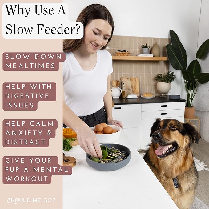 Should We Go? Complete Pet Feeding Set: Slow Feeder & Water Bowl with Spill-Proof Silicone Mat - Ideal for Small to Medium Dogs, Non-Slip, Easy Clean, Raised Edges, Durable Silicone - Charcoal